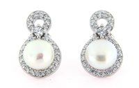 Orecchini Forever Gioielli Donna in Argento Zircone FGOR00855 - FGOR00855